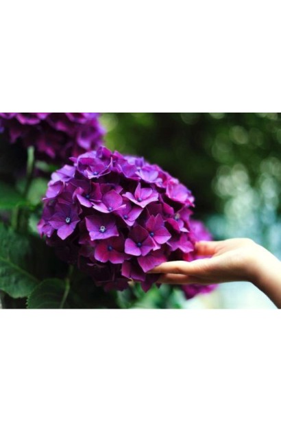 Сульфат алюмінію, 200 г